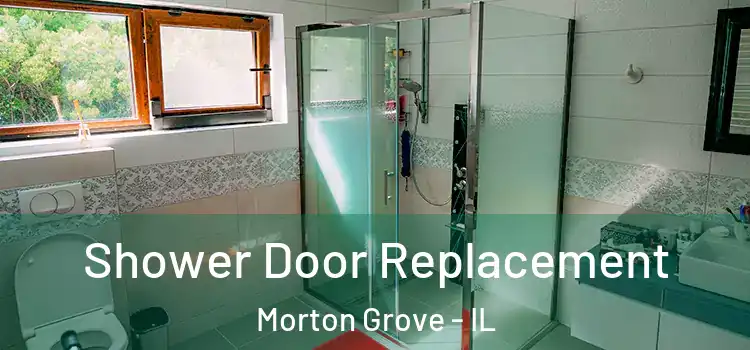 Shower Door Replacement Morton Grove - IL